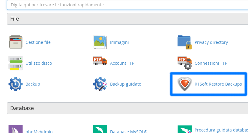 cpanel_cdp1.png
